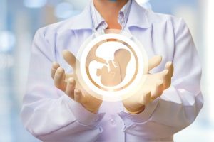 Tüp Bebek Tedavileri (IVF)